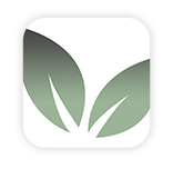 Daily Sage App Icon